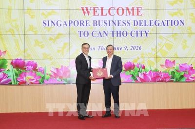 Cần Thơ mời gọi doanh nghiệp Singapore đầu tư vào công nghiệp, năng lượng và logistics