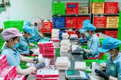 Doanh thu tăng nhưng startup vỡ trận vì bẫy tăng trưởng