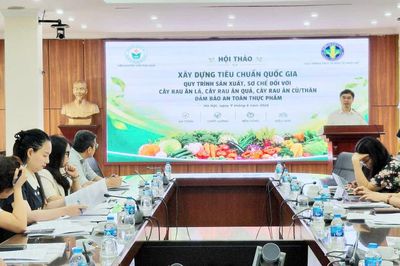 Nhiều đề xuất góp ý hoàn thiện tiêu chuẩn sản xuất rau an toàn