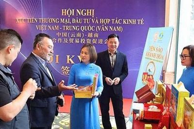 Việt Nam - Trung Quốc tăng cường kết nối doanh nghiệp qua Vân Nam