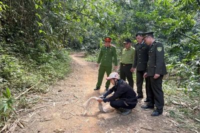 Tăng cường quản lý, bảo vệ các loài động vật hoang dã, nguồn lợi thủy sản