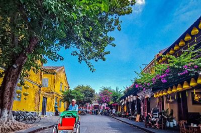 Nghĩ về loài hoa đặc trưng cho Đà Nẵng
