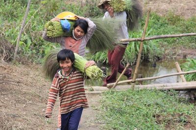 Mít non gửi xuống…