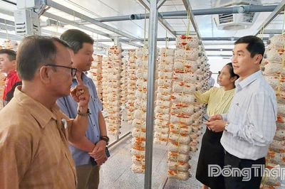 Từ ý tưởng sáng tạo, nghiên cứu khoa học đến thương mại hóa sản phẩm