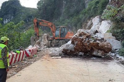 Thông đường mùa bão