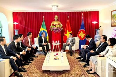 Đoàn đại biểu tỉnh Lạng Sơn thăm và làm việc tại Brazil và Chile