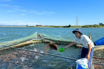 Khát vọng khởi nghiệp