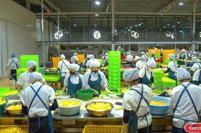 Tăng giá trị cây ăn quả từ chế biến sâu