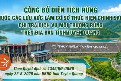 Công bố diện tích rừng thuộc các lưu vực làm cơ sở thực hiện chính sách chi trả dịch vụ môi trường rừng trên địa bàn tỉnh Tuyên Quang
