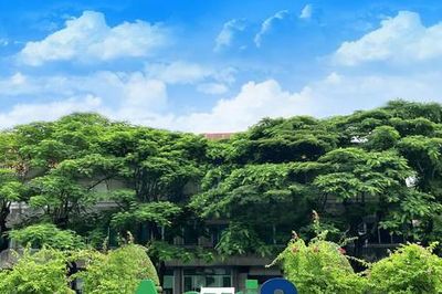 Thành Thành Công Biên Hòa (SBT) chốt quyền tham gia ĐHĐCĐ bất thường niên độ 2025 - 2026