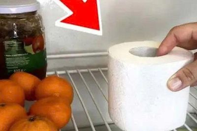 Đặt một cuộn giấy vệ sinh trong tủ lạnh: Chúng có 2 công dụng nhà nào cũng cần dùng đến