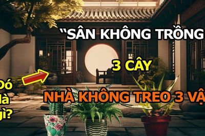 Người xưa dặn: 'Trước sân không trồng 3 cây, trong nhà không treo 3 vật', chớ có làm sai
