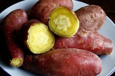 2 khung giờ ăn khoai lang giúp giảm cân hiệu quả, rất tốt cho đường huyết