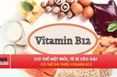 Thiếu vitamin B12 bao lâu mới hồi phục, nhiều người dễ chủ quan