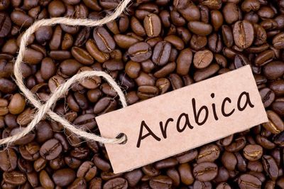 Giá cà phê hôm nay 9/6: Robusta tăng trở lại, Arabica chưa 'thoát đáy'