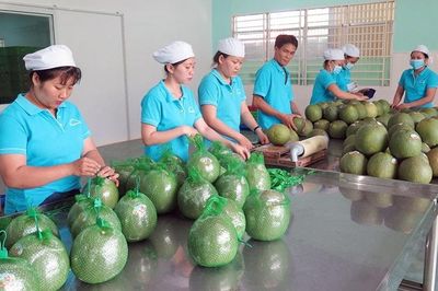 Xuất khẩu rau quả tăng trưởng mạnh, tiến gần mốc 10 tỷ USD