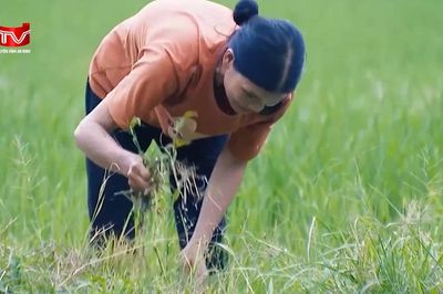 Hà Nội hỗ trợ 100% mức đóng BHXH tự nguyện cho hộ nghèo, cận nghèo
