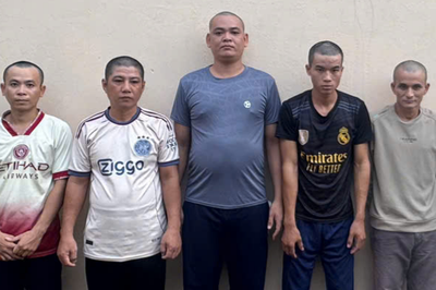 An Giang: Khởi tố nhóm đối tượng mua bán, săn bán trái phép voọc bạc Đông Dương