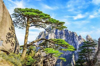 Di sản ba lần được UNESCO vinh danh dùng công nghệ phát triển du lịch bền vững