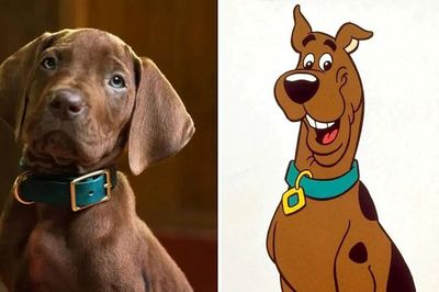 Chú chó Scooby-Doo trong phiên bản phim người thật đóng gây tranh cãi