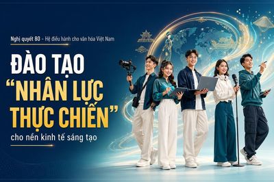 Nghị quyết 80 - Hệ điều hành cho văn hóa Việt Nam - Kỳ 4: Đào tạo 'nhân lực thực chiến' cho nền kinh tế sáng tạo