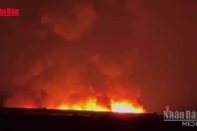 [Video] Điều tra nguyên nhân vụ cháy lớn tại công ty chế biến gỗ ở Thành phố Hồ Chí Minh