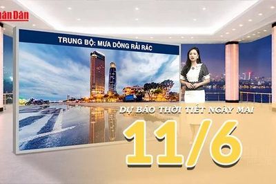 [Video] Dự báo thời tiết đêm nay và ngày mai ngày 11/6/2026: Bắc Bộ giảm mưa, Trung Bộ và Nam Bộ vẫn có mưa dông rải rác