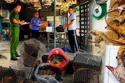 Thực nghiệm điều tra vụ vận chuyển vảy tê tê, động vật hoang dã trái phép tại Đà Nẵng