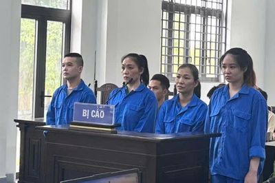 Cung cấp hàng chục tài khoản ngân hàng để rửa tiền, 4 bị cáo lĩnh án