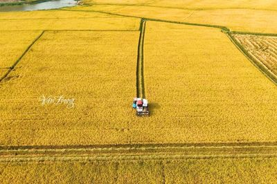 Krông Ana chuyển mình từ những 'mùa vàng' ấm no