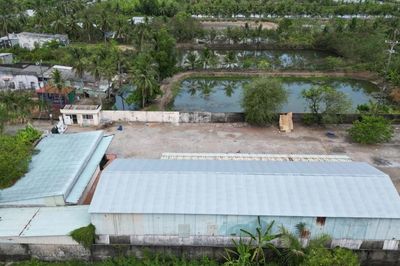 Vụ chủ đất kiện chủ nhà ở Cà Mau: Hủy quyền sử dụng đất của người mua vì không xem trước thực địa