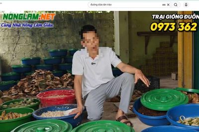 Cơ quan chức năng vào cuộc vụ bẫy bao tiêu nuôi con đặc sản