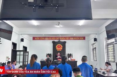 Bóc gỡ mắt xích đường dây rửa tiền xuyên biên giới