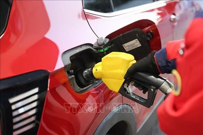 Giá dầu thế giới giảm xuống mức thấp nhất trong 7 tuần