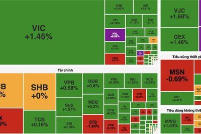 Dòng tiền lan tỏa, VN-Index tăng hơn 10 điểm nhờ nhóm bất động sản và tài chính
