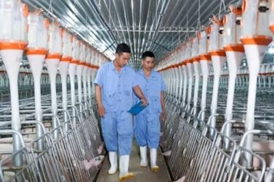 BAF Việt Nam bị phạt hơn 820 triệu đồng