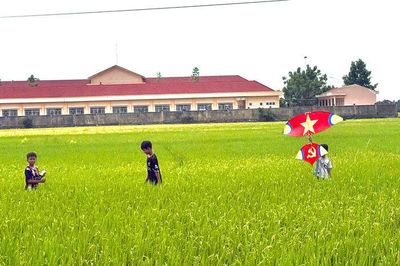 Cho con về quê đón hè