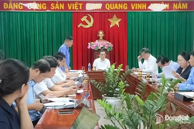 Lập chi tiết tiến độ thực hiện các dự án thúc đẩy phát triển kinh tế - xã hội tại một số xã, phường trên địa bàn Đồng Nai