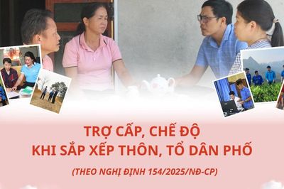 Trợ cấp, chế độ khi sắp xếp thôn, tổ dân phố