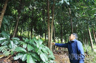 Người có uy tín - 'lá chắn mềm' bảo vệ nền tảng tư tưởng của Đảng