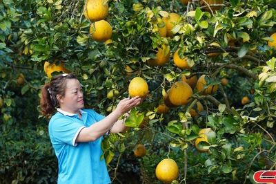Đa dạng và nâng cao giá trị các loại nông sản