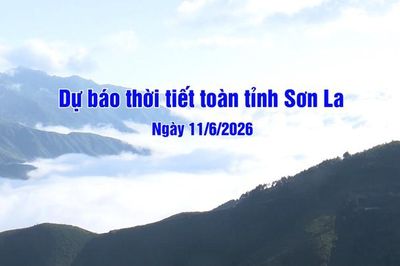 Dự báo thời tiết toàn tỉnh Sơn La ngày 11/6/2026