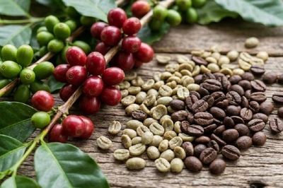 Ngày 10/6: Giá cà phê đảo chiều tăng, hồ tiêu 'lặng sóng'