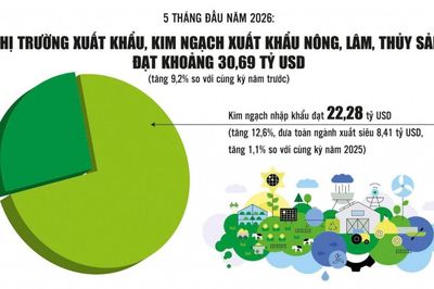 Xuất khẩu nông, lâm, thủy sản tăng mạnh, tạo lực đẩy cho tăng trưởng ngành