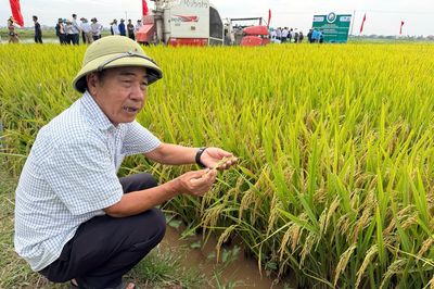 Từ hoài nghi đến nhân rộng: HTX thu lãi gấp 6 lần nhờ mô hình lúa giảm phát thải