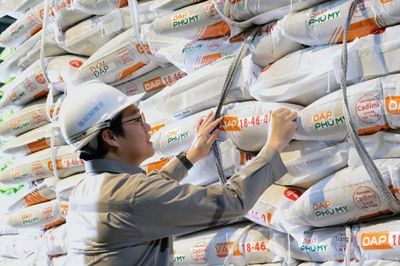 Giá phân bón tăng mạnh: Nông dân gặp khó khăn, lợi nhuận bị bào mòn