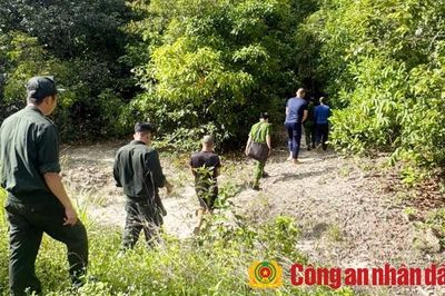 Khởi tố các đối tượng bắn voọc bạc tại khu vực cấm săn bắt