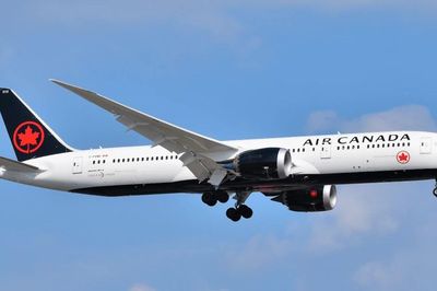 Thực hiện hàng trăm chuyến bay dù không có bằng hợp lệ