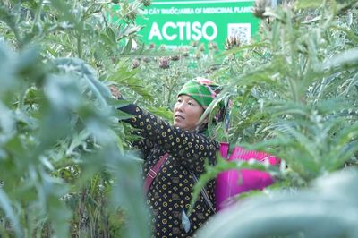Nối dài chuỗi liên kết bốn nhà