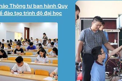 Dự thảo Thông tư quy chế đào tạo trình độ đại học: Lấy người học làm trung tâm, thúc đẩy học tập suốt đời